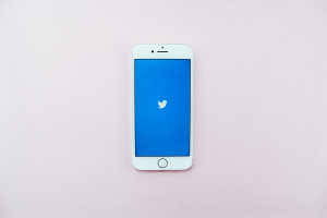 Илон Маск хочет убрать птицу с логотипа Twitter