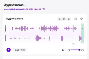 «Ростелеком» добавил новые функции в сервис аналитики речи