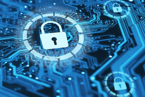 Бизнес, государство и общественные организации: о безопасном интернете