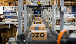 Ozon открывает продажи в Грузии