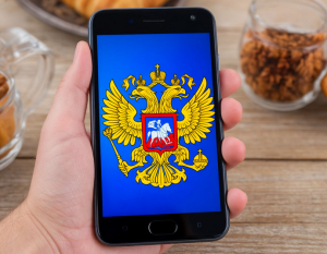 Национальный мессенджер прошел через Совет Федерации