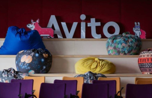 «Авито Услуги»: россияне стали чаще задумываться об образовании в выходные дни
